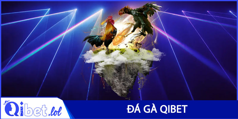 Đá gà Qibet